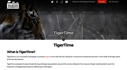 tigertime.info