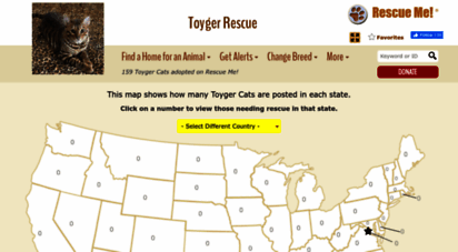 toyger.rescueme.org