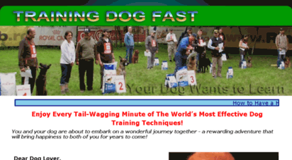 trainingdogfast.com