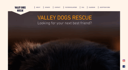 valleydogs.org