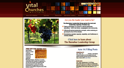 vitalchurchesinstitute.com