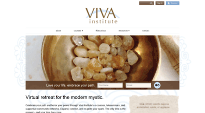 vivainstitute.com
