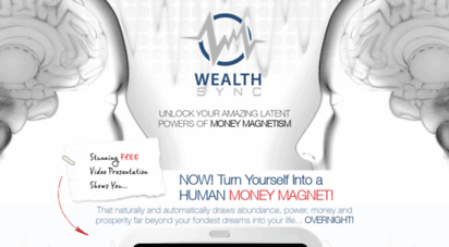 wealthsync.com