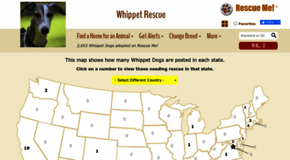 whippet.rescueme.org