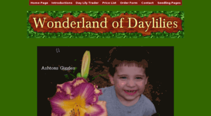 wonderlandofdaylilies.com