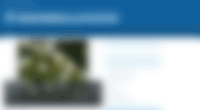 websiteaccountant.es