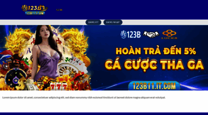 123b11.it.com