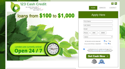 123cashcredit.com