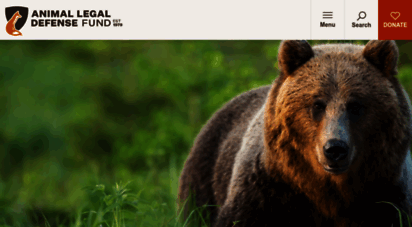 aldf.org