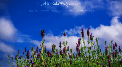 aliikulalavender.com