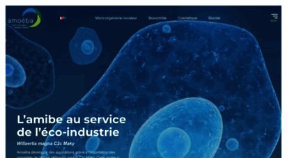 amoeba-biocide.com