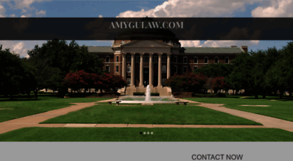 amygulaw.com
