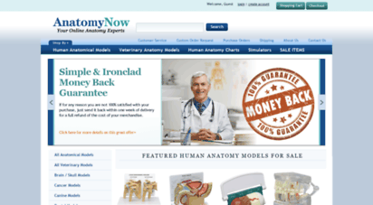 anatomynow.com