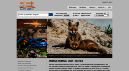 animalsanimals.com