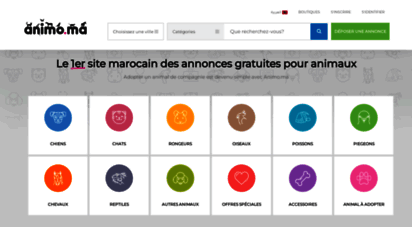 animo.ma - animo: le 1er site marocain des annonces gratuites pour animaux