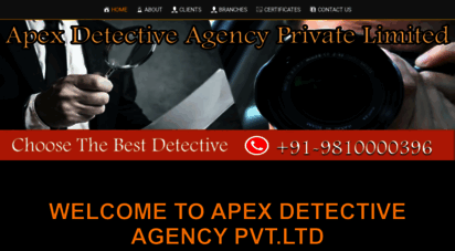 apexdetectiveagency.com