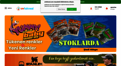 avteknesi.com