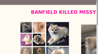 banfieldkilledmissy.com