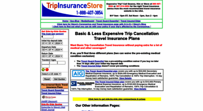 basictravelinsurance.com