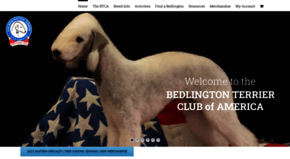 bedlingtonamerica.com