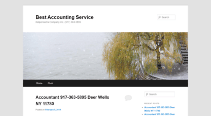 bestaccountingservice.wordpress.com