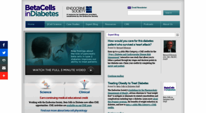 betacellsindiabetes.org