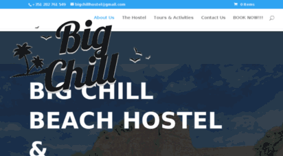 bigchillhostel.com
