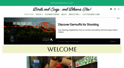 birdsandsoap.com