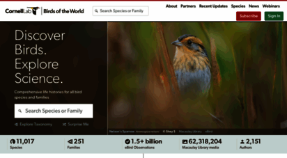 birdsna.org - birds of the world - cornell lab of ornithology