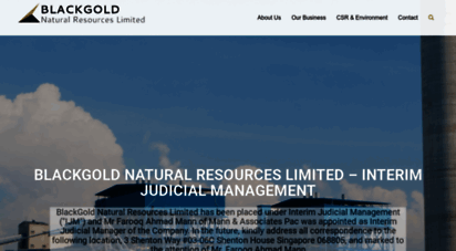 blackgold-group.com