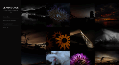 blog.leannecole.com.au