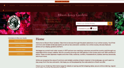 bloomriver.com