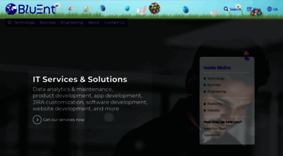 bluent.co.in