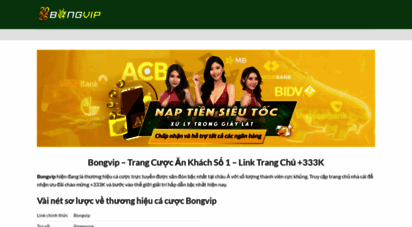 bongvipinc.com