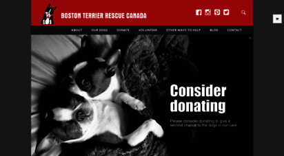 bostonterrierrescuecanada.com