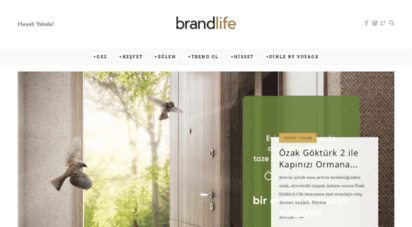 brandlifemag.com