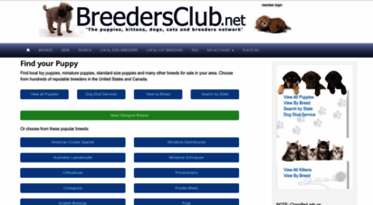 breedersclub.net - local puppies for sale, small dogs for sale, dog breeders, cats & kittens for sale
