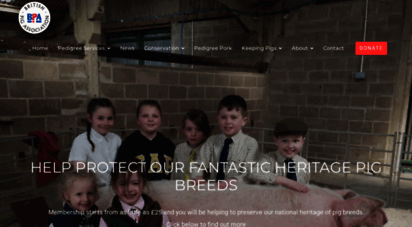 britishpigs.org.uk