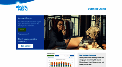 businessonline.electricireland.ie