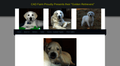 cadfarmgoldens.com