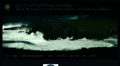 cathythomas-fineart.net
