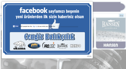 cengizbalikcilik.com.tr - 