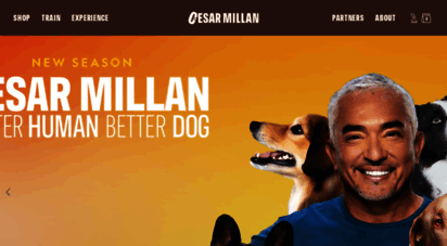 cesarsway.com - cesar´s way  official site of dog behaviorist cesar millan