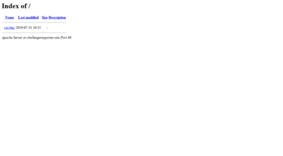 challengerexporter.com