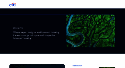 citibank.com.ni - institutional clients group