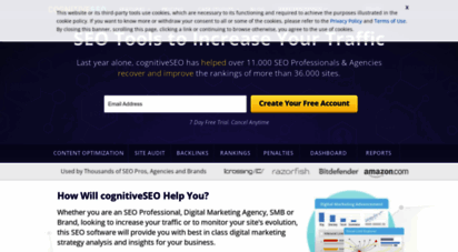 cognitiveseo.com - seo tools to increase your traffic - cognitiveseo