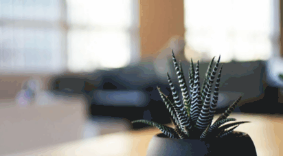 counterpointoptions.investorplace.com