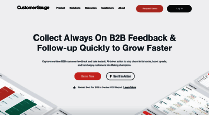 customergauge.com - customergauge