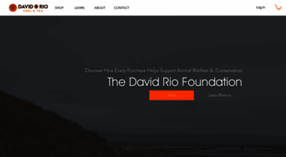 davidrio.com