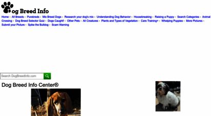 dogbreedinfo.com